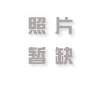 宗亲上香