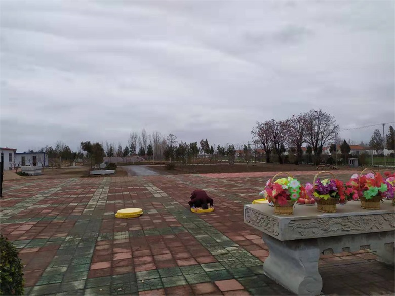 л߂Ļ԰Ѷ20191220գ